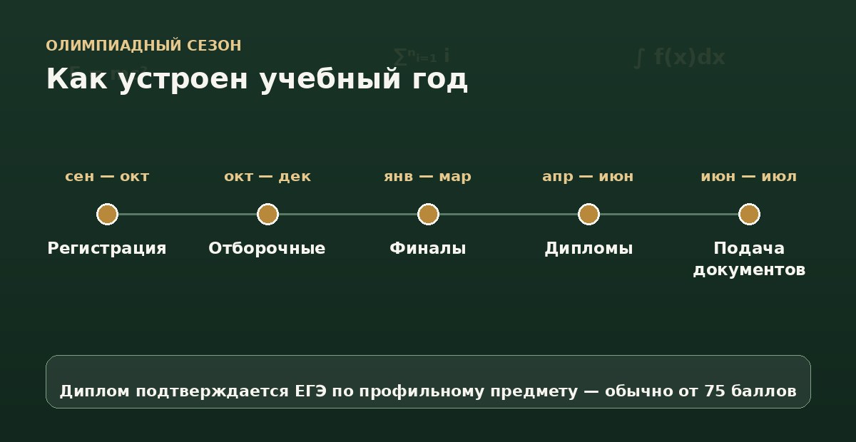 Типичный олимпиадный сезон Календарь олимпиадного сезона